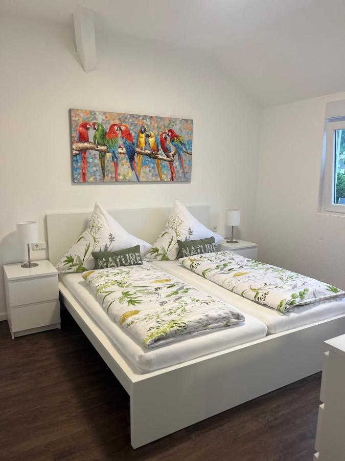 Stauffenberg Apartments 阿尔伯斯塔特 外观 照片